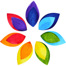 Colorful flower petals in a circle to depict a rainbow colored flower.